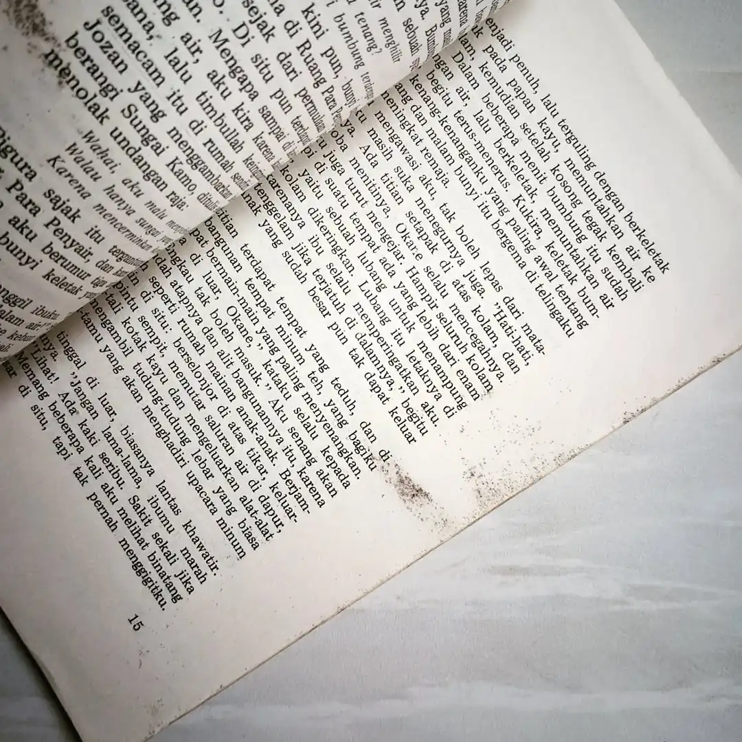 JEMBATAN IMPIAN - gambar 2