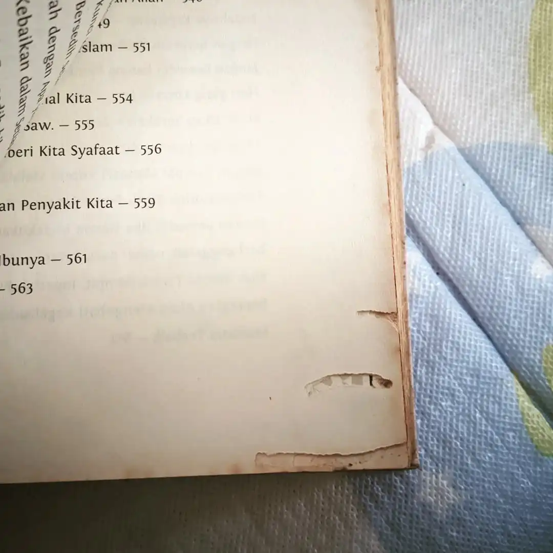 MASALAH ADA BUKAN AKHIR DUNIA - gambar 6