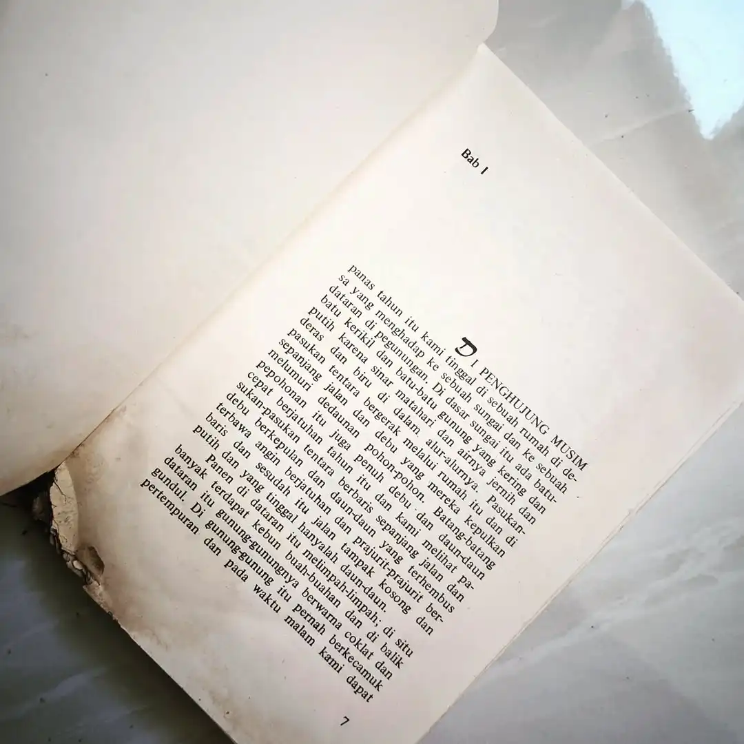 Pertempuran Penghabisan - gambar 3