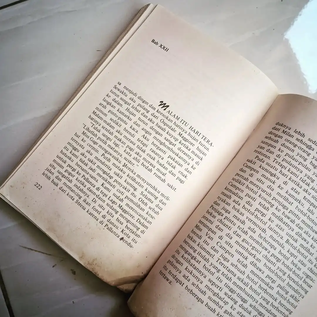 Pertempuran Penghabisan - gambar 4