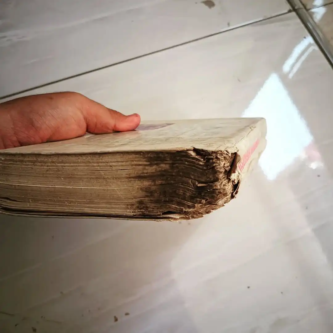 Pertempuran Penghabisan - gambar 7