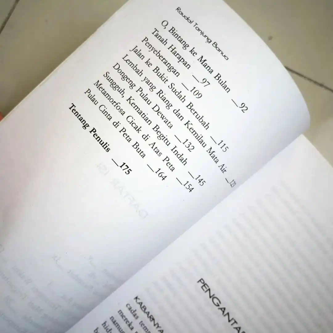 Pulau Cinta di Peta Buta - gambar 3