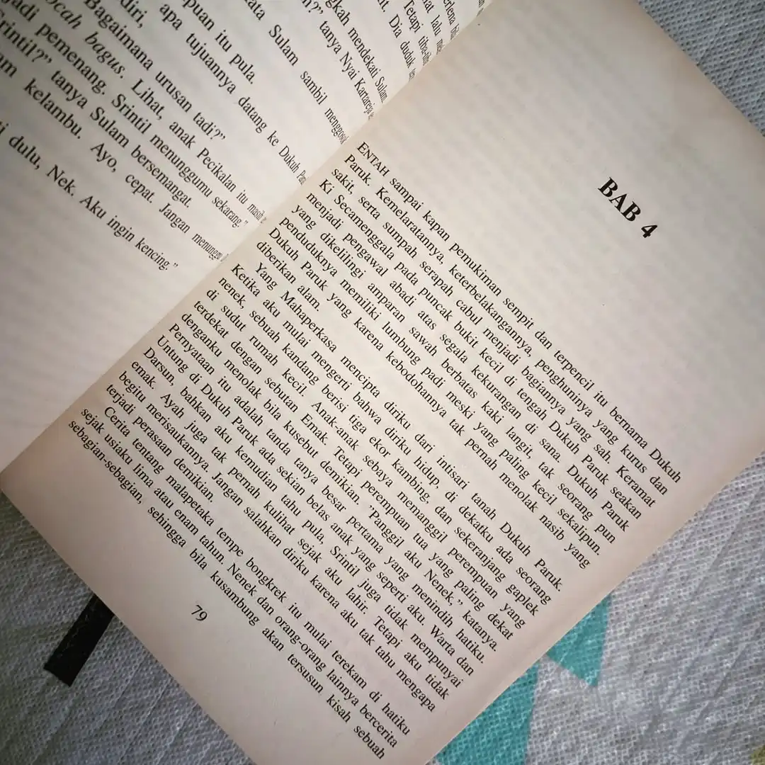 RONGGENG DUKUH PARUK - gambar 3