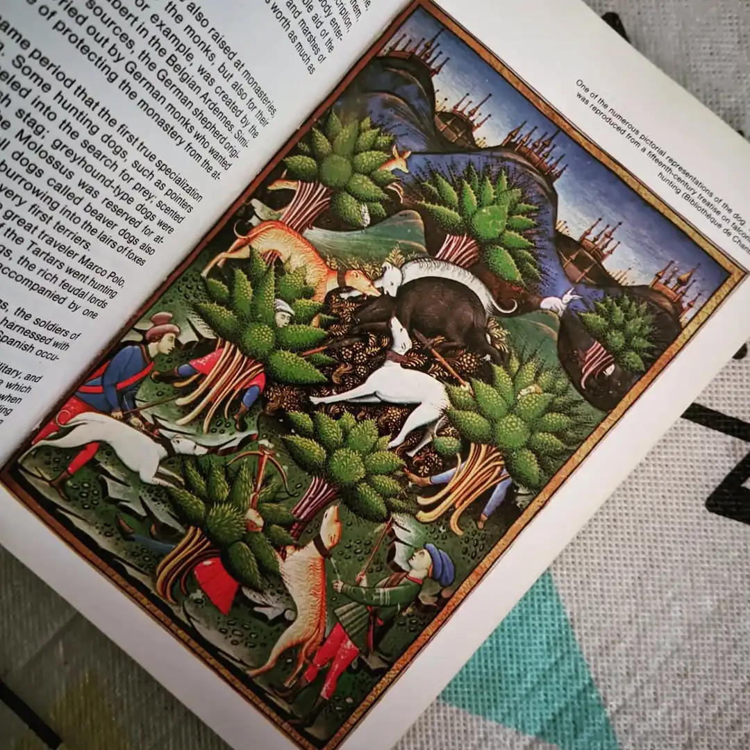 THE MACDONALD ENCYCLOPEDIA OF DOGS - gambar 3
