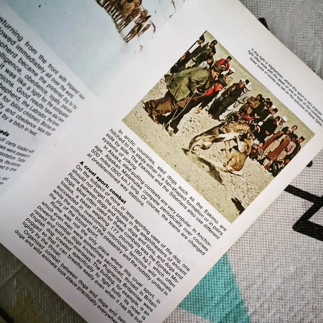THE MACDONALD ENCYCLOPEDIA OF DOGS - gambar 4