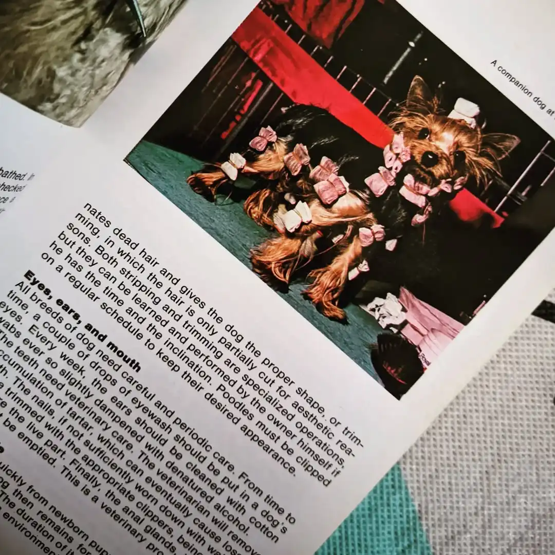 THE MACDONALD ENCYCLOPEDIA OF DOGS - gambar 5