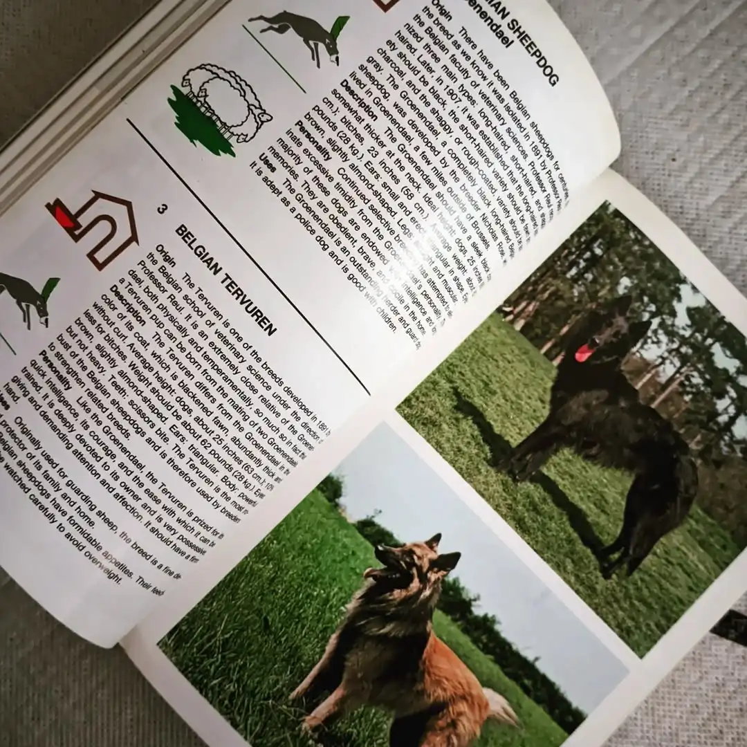 THE MACDONALD ENCYCLOPEDIA OF DOGS - gambar 6
