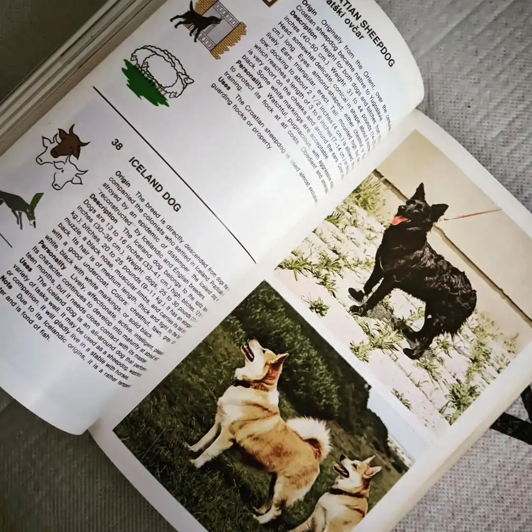 THE MACDONALD ENCYCLOPEDIA OF DOGS - gambar 7