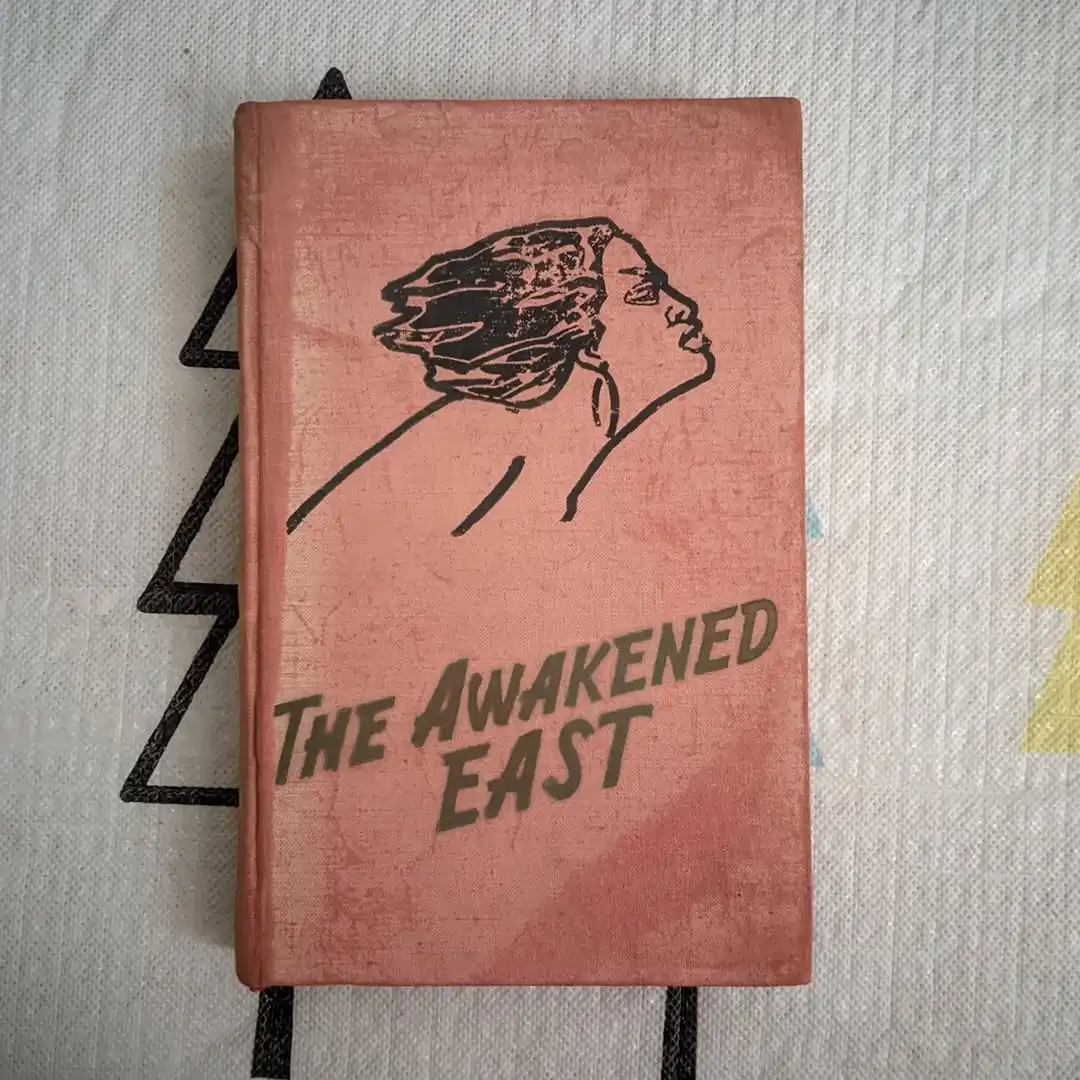 The Awakened East 2 - gambar 1